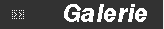 Pagina de galerie