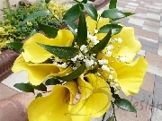 Buchet nasa cale
