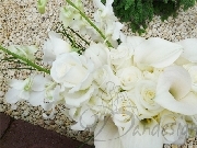 Buchet mireasa alb
