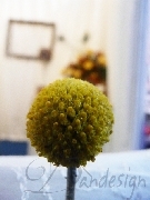 Aranjament floral craspedia