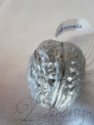 Marturii nuci