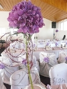 Hortensie in vaza
