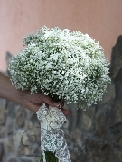 Buchet mireasa gypsofila florile miresei
