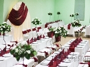 Decor sala cu visiniu