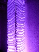 Stalp luminat