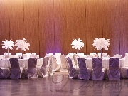 Sala festiva pene Wonderland