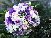 Buchet colorat mov diverse nuante
