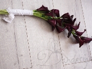 Buchet cal curgator