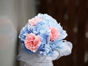 Buchet hortensie si garoafe