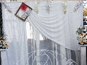 Decor colt foto pe alb